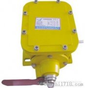 THZL-B-II縱向撕裂開關，撕裂檢測裝置，批發(fā)工程案例