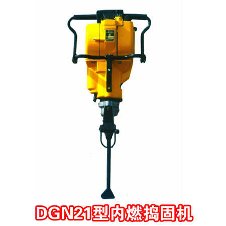 DGN21�̓�ȼ�v�̙C